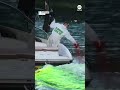 Chicago River dyed green for St. Patricks Day  - 00:58 min - News - Video