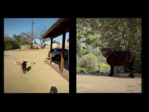 Video der Unterkunft