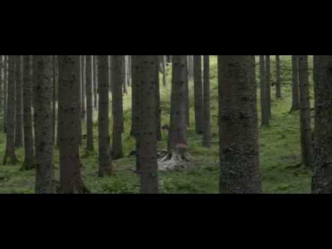 Walden'