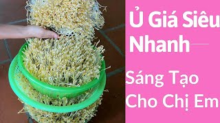 Làm Giá Bằng Chậu - Sáng Tạo Mới | How to make a pot rack