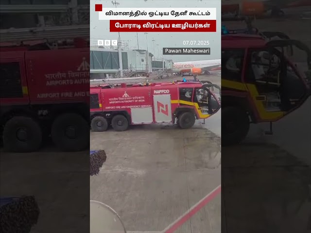 தேனீக்களால் ஒரு மணி நேரம் தாமதமான விமானம்