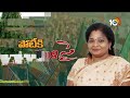 Tamilisai Soundararajan Political Journey As Telangana Governor| లోక్‌సభ ఎన్నికల్లో పోటీకి సై | 10TV  - 04:54 min - News - Video
