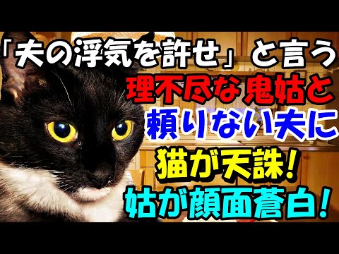 夫の浮気を許せ という理不尽で意地悪な鬼姑と頼りない夫 そんな私へ猫がとった信じられない行動に姑が顔面蒼白 猫の不思議な話 朗読 まとめ ちゅーぶ