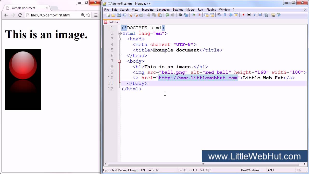 html5-tutorial-for-beginners-part-3-of-6-images-and-hyperlinks