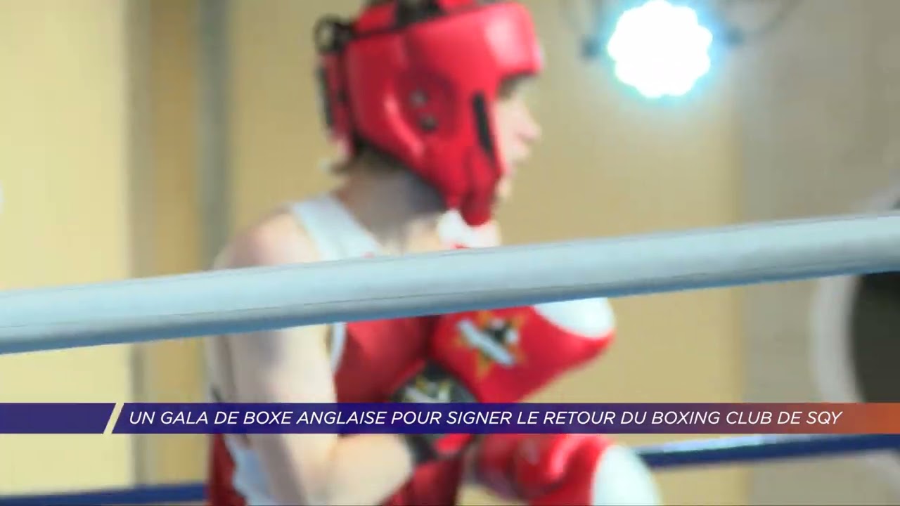 Yvelines | Un gala de boxe anglaise pour signer le retour du Boxing Club de SQY