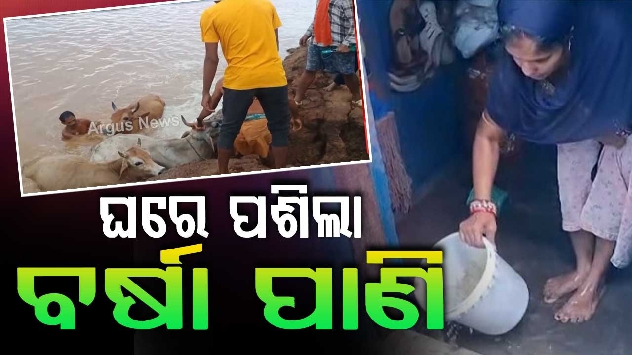 Heavy Rain Havoc in Balangir & Titlagarh: Lanth River Flooded, Locals Rescued | Argus News