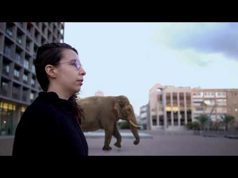 There are no Lions in Tel Aviv'