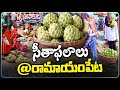 Ramayampet’s Unique Custard Apple Market Draws Traders | V6 Teenmaar
