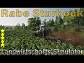 Rabe Sturbock v1.0.0.0