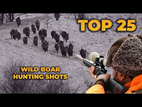 TOP 25 WILD BOAR HUNTING SHOTS