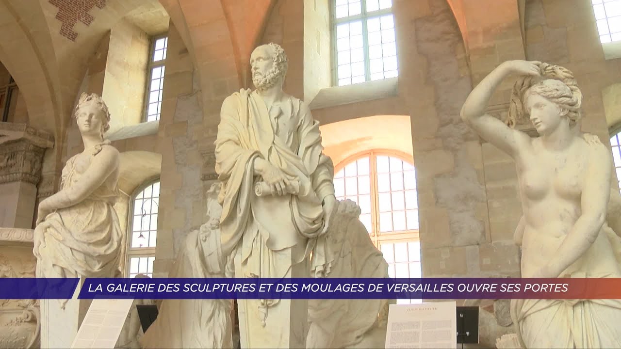 Yvelines | La galerie des sculptures et des moulages de Versailles ouvre ses portes