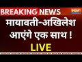 Akhilesh Yadav and Mayawati Alliance News LIVE: मायावती-अखिलेश आएंगे एक साथ ! SP |BSP