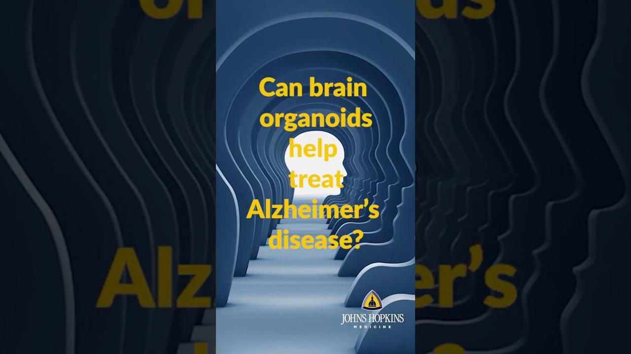 Mini Brain Structures May Help Scientists Diagnose, Treat Alzheimer's Disease