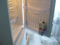 Писклявый холодильник Nord