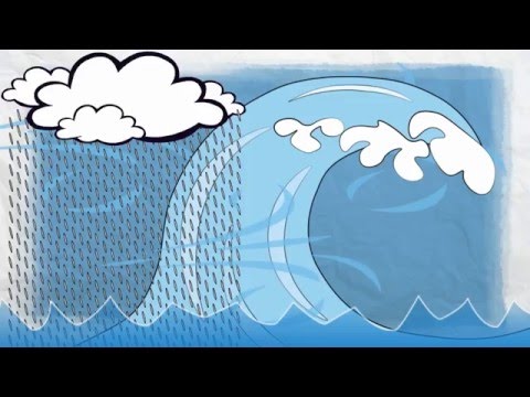 Insurance 101 - Water Damage Basics