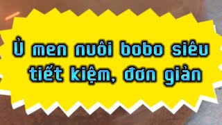 Ủ thức ăn nuôi bobo đơn giản siêu tiết kiệm và hiệu quả