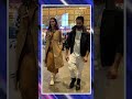 Shahid Kapoor Saves Kriti Sanon From An Airport Mishap  - 00:50 min - News - Video