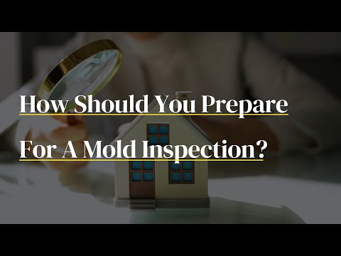 How Should You Prepare For A Mold Inspection? (Mold Inspection Rehoboth Beach Delaware)