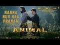 Nanna Nuv Naa Pranam from Ranbir Kapoor, Rashmika's Animal is out