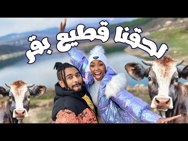 دخلنا قرية مهجورة  ولحقنا قطيع بقر