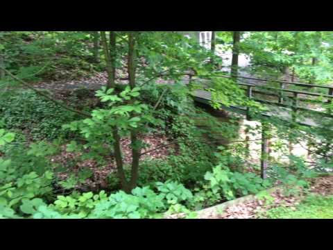 Vidéo de l’hébergement