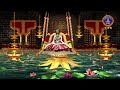 Sri Padmavathi Ammavari Sahasradeepalankarana Seva || Tiruchanoor || 20--06-2025 || SVBC TTD  - 31:28 min - News - Video