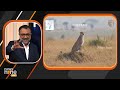 Exclusive: Abhishek Ray On Cheetah Anthem, Conserving Wildlife, & more | News9  - 16:03 min - News - Video