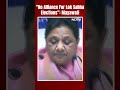 No Alliance For Lok Sabha Elections, Says BSP Chief Mayawati