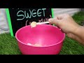 Easy Sweets Recipes | Quick & Easy Sweet Recipes | Instant Sweet Recipes | Indian Sweets || Sweets - 10:10 min - News - Video