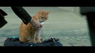 A Street Cat Named Bob - Meeting