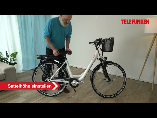 Telefunken E-Bike City RT530 unisex 28 Zoll RH 50cm 3-Gang 374 Wh blau  kaufen | Globus Baumarkt