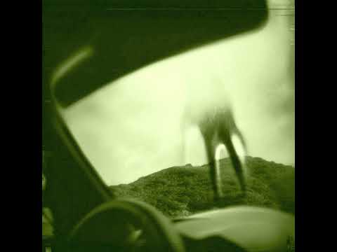 Nine Inch Nails - The Beginning of the End (Instrumental)