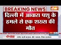 Breaking News: दिल्ली में आवारा पशु के हमले से एक शख्स की मौत, वीडियो वायरल | Delhi Cow Attack Video  - 00:27 min - News - Video