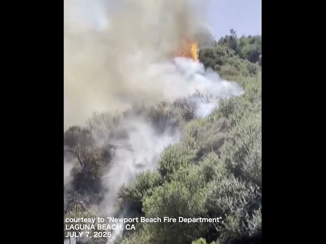 SCENE: Fire burns, smoke billows into the air from California's Laguna Beach blaze