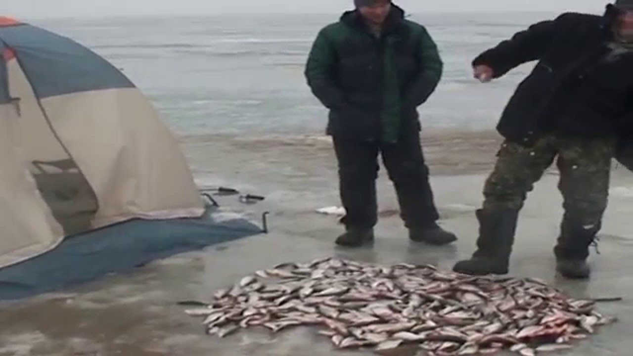 Зимняя рыбалка на Цимле Река и большая вода Отдых в кругу друзей Рыбалка 2019