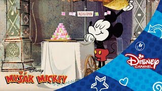 Mickey Mouse - Tureck pochka