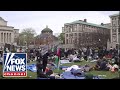 LIBERATED ZONE: Columbia students hold Gaza protest on campus lawn