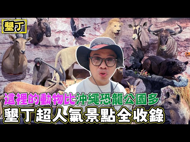 【墾丁超人氣景點全收錄】JUNGLIA沖繩恐龍樂園的動物都沒有這裡多 - 菜苔苔與菜生生