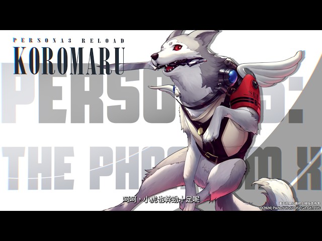 《女神異聞錄：夜幕魅影》開啟P3R聯動新章，4.8.2版本「蒼犬忠義的咆哮」正式上線