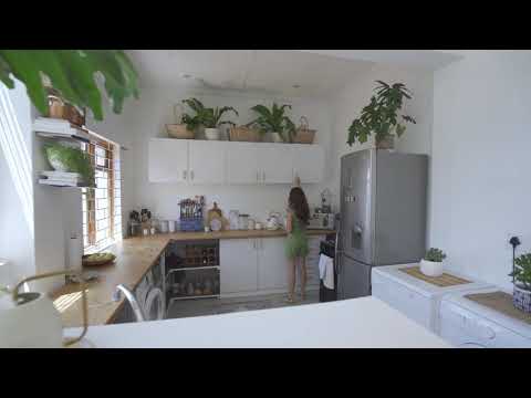 Placing Plants In The Kitchen Area