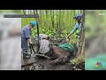 Dozens rush to Connecticut farm to help horses stuck in mud  - 01:35 min - News - Video
