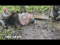 Dozens rush to Connecticut farm to help horses stuck in mud
