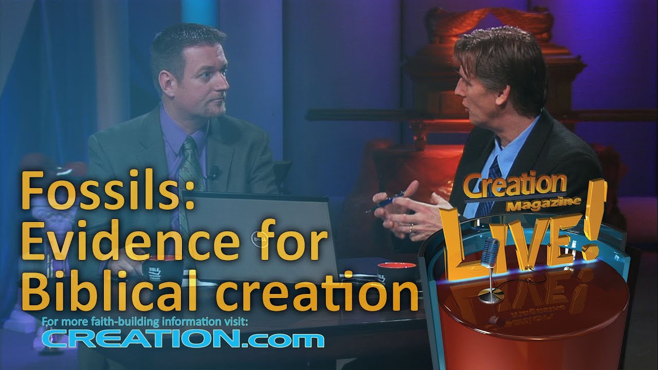 Fossils: Evidence for Biblical creation (Creation Magazine LIVE! 3-02)