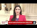 House Votes To Pass Bipartisan Gun Legislation  - 01:25 min - News - Video