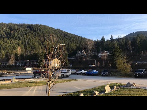 Property video