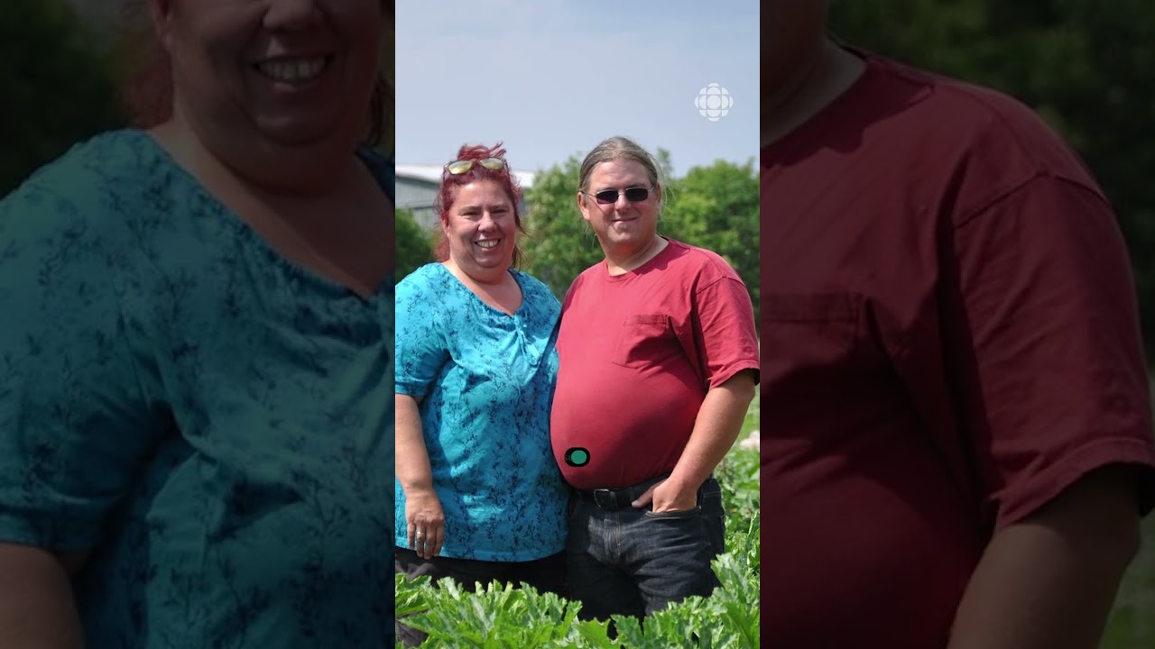 Des maraîchers à bout de souffle - Vidéojournal Gaspésie–Îles-de-la-Madeleine
