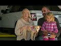 Missing dog found safe over 2,000 miles from home  - 01:57 min - News - Video
