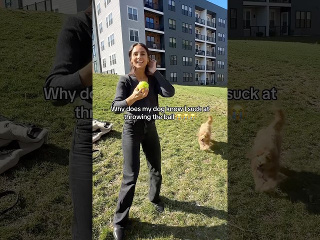 This dog knows his owners too well 😂