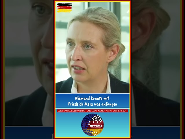 Niemand konnte was mit Friedrich Merz anfangen | Alice Weidel (AFD)