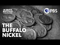 The Buffalo Nickel and Bison Facts Today | The American Buffalo | A Film by Ken Burns | PBS
